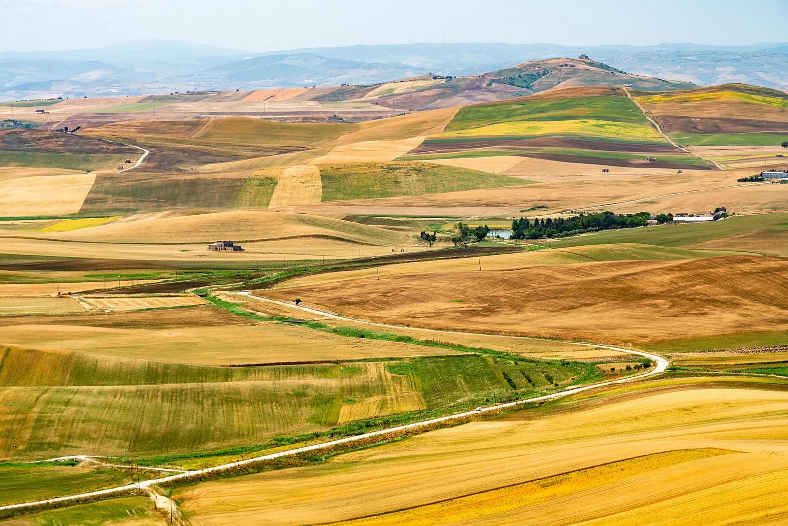 Il paesaggio ondulato dell'Alta Murgia: campi dorati e verdi a perdita d'occhio, una strada bianca sinuosa, casolari isolati e colline in lontananza